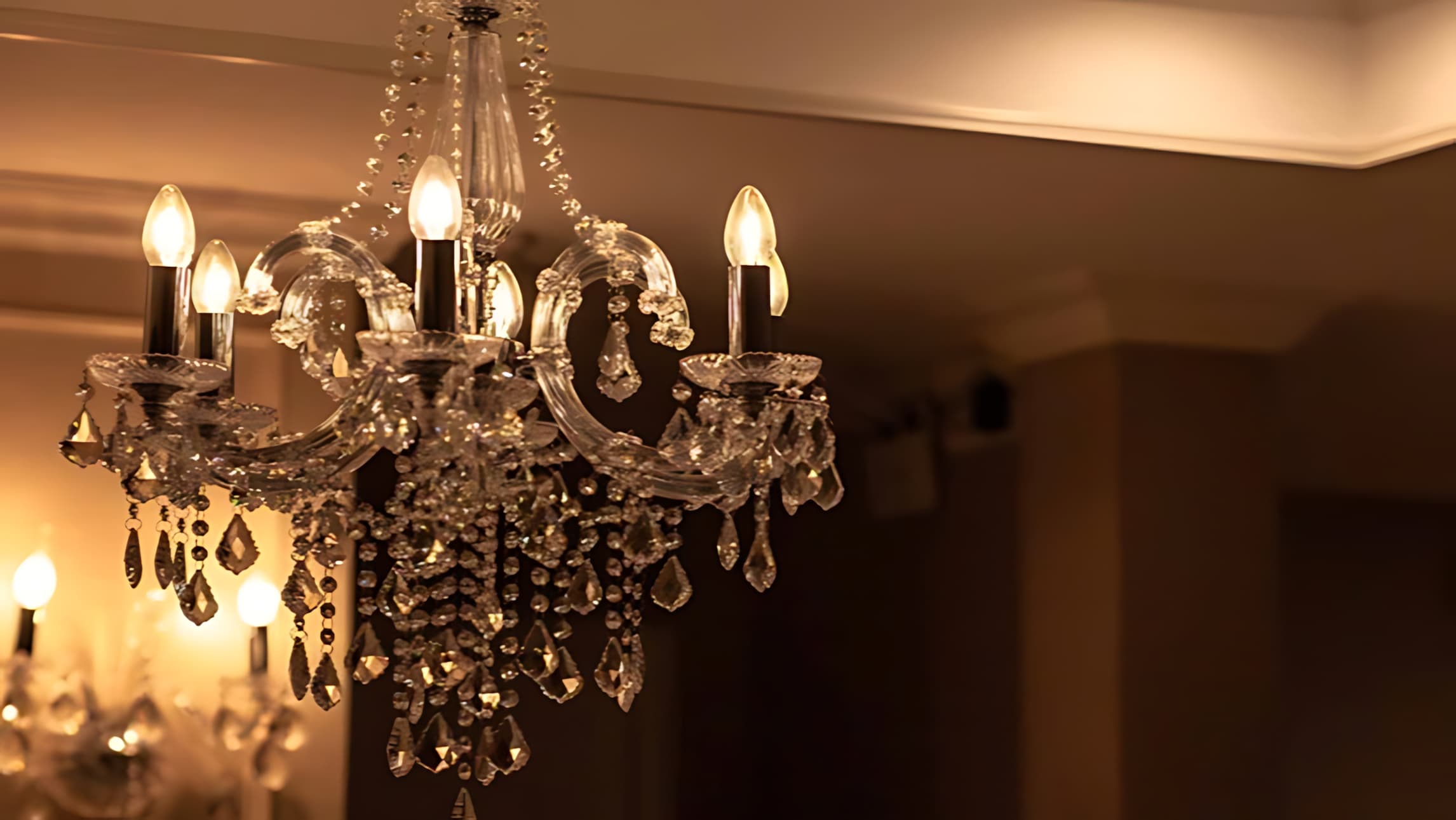 The Magnum Opus Club Experience