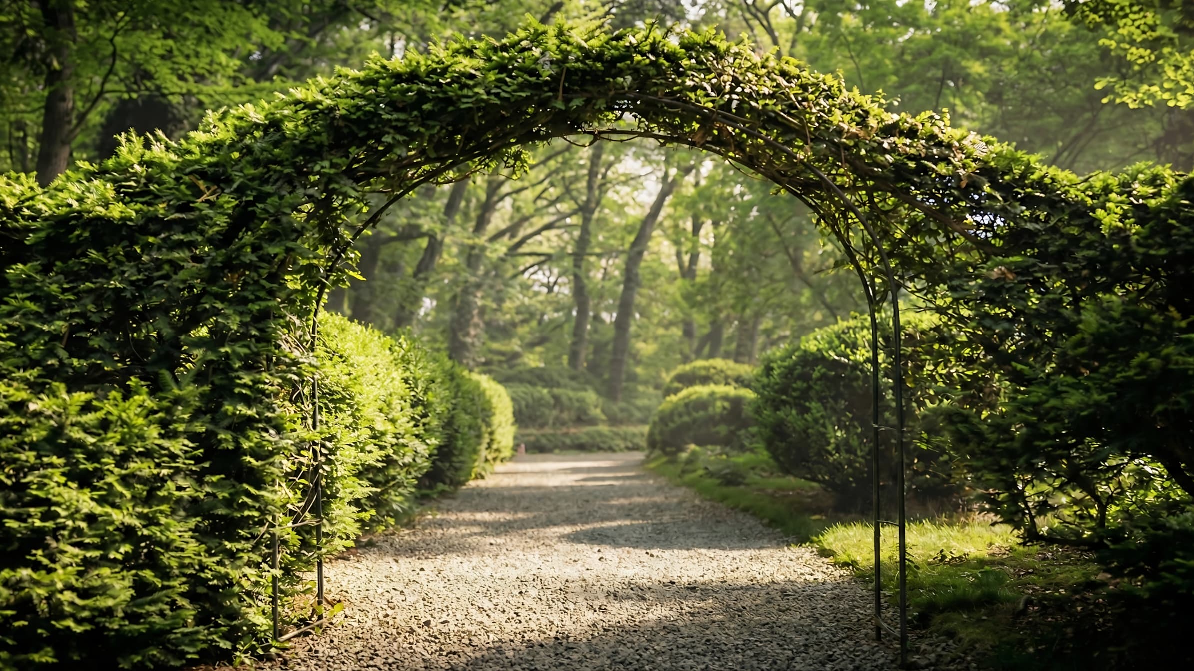 The Central Green Spine